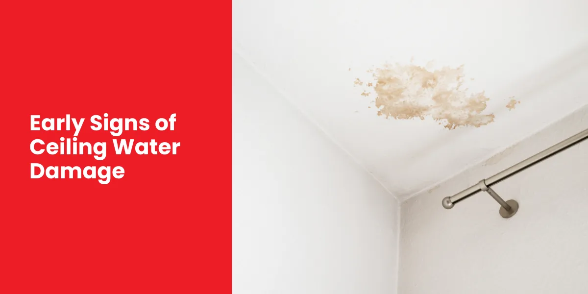 Early Signs of Ceiling Water Damage