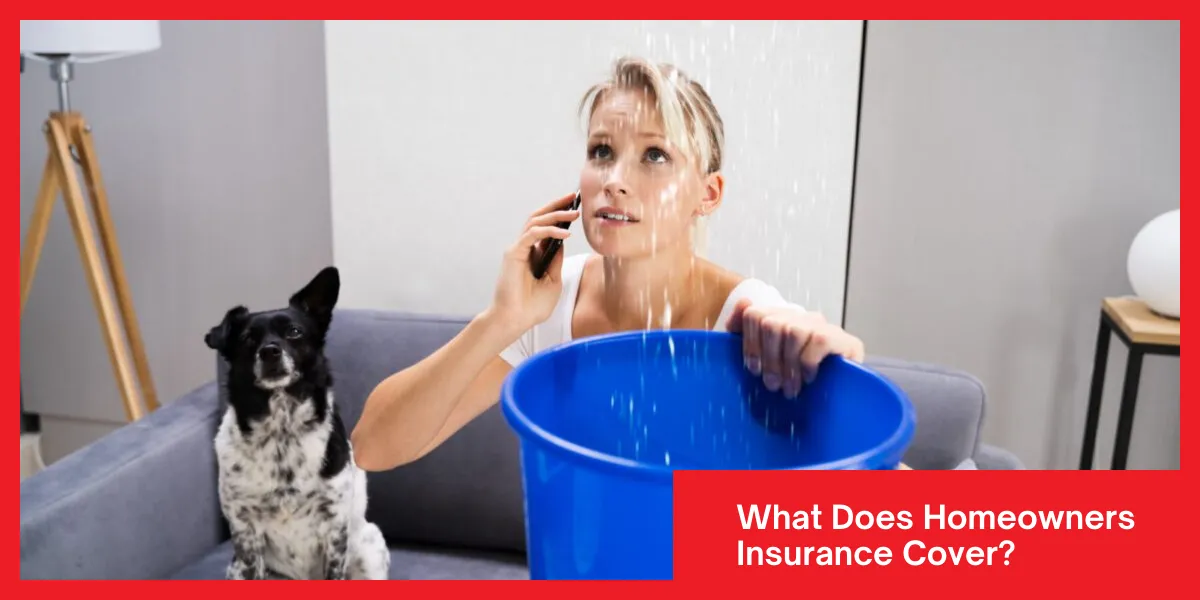  Concerned woman holding a bucket to catch water from a ceiling leak while talking on the phone, with a dog sitting beside her