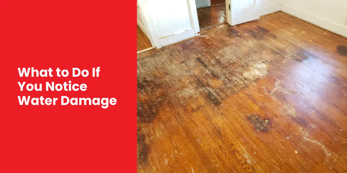 What to Do If You Notice Water Damage