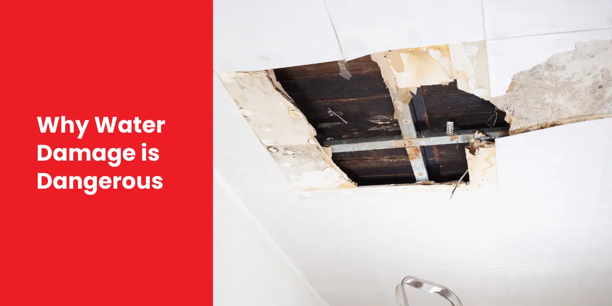 Why Water Damage is Dangerous