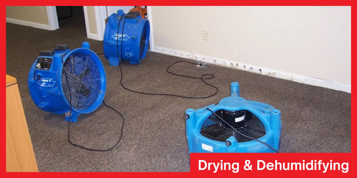 Blue air movers positioned on a carpeted floor to dry and dehumidify the area after water damage.