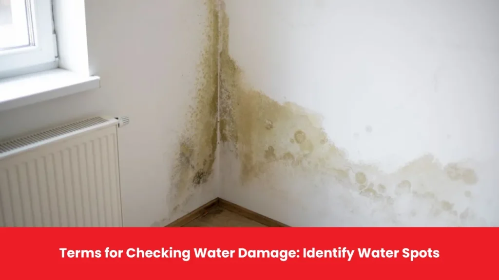 Terms for Checking Water Damage