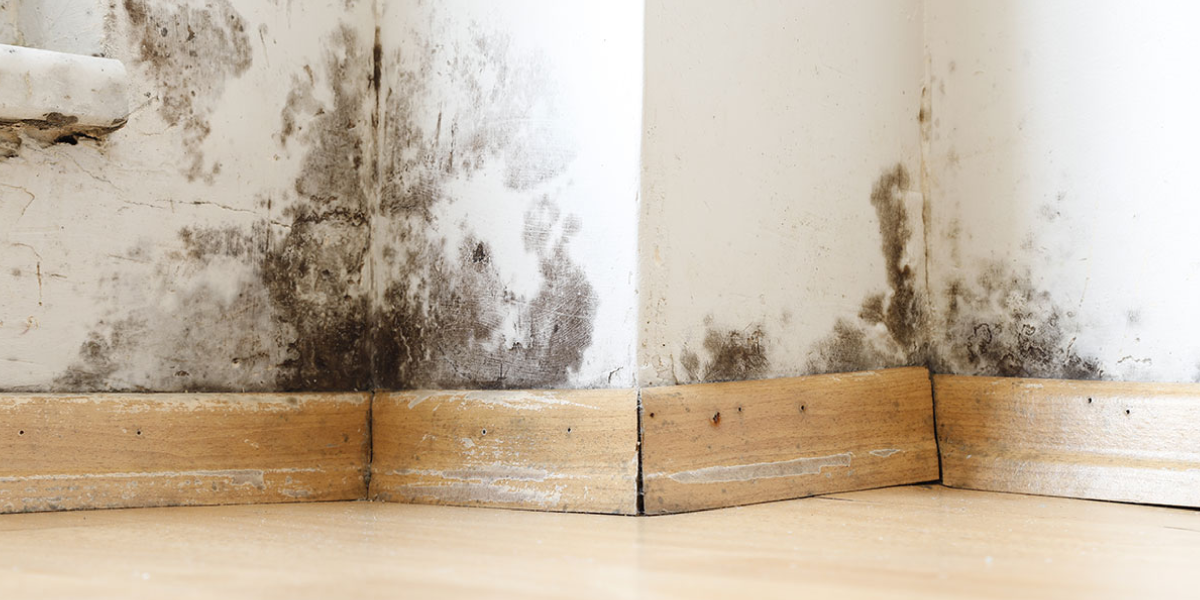 Signs of Water Damage