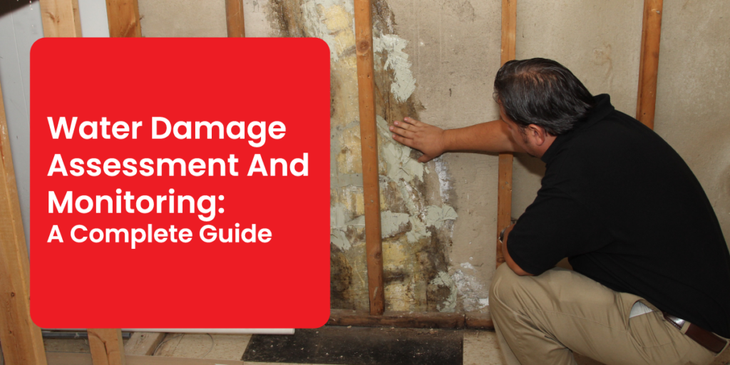 Water damage assessment and monitoring