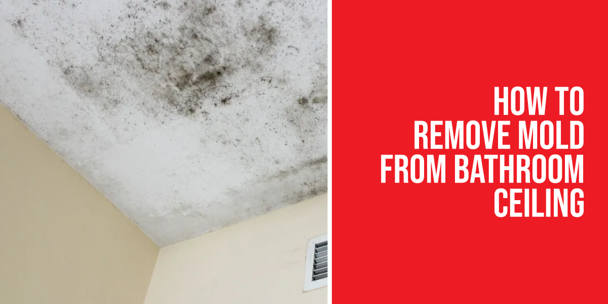 How To Remove Mold From Bathroom Ceiling SOS Restoration