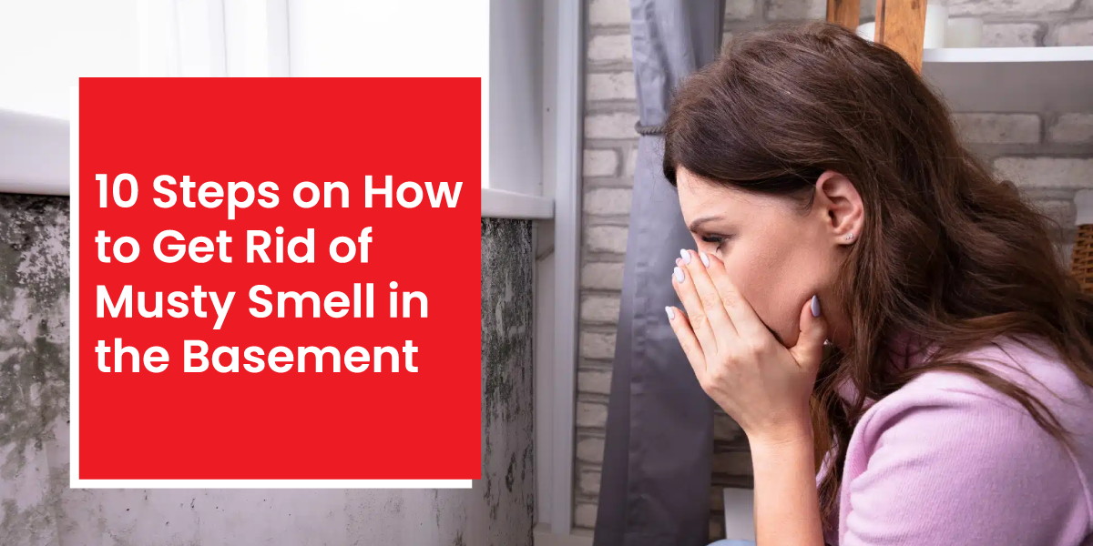 how to get rid of musty smell in basement