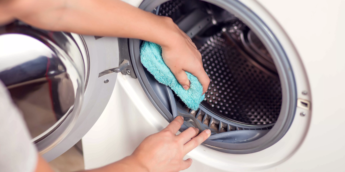 How to Prevent Mold from Coming Back