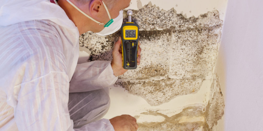 Mold Usage How Long Does Mold Take to Grow? | Fast Mold Growth Explained
